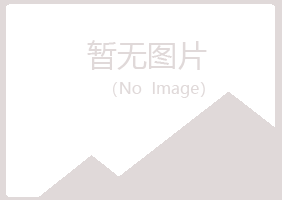 阜康夏岚建设有限公司